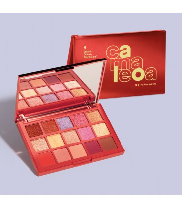 Многофункциональная палетка Chameleon